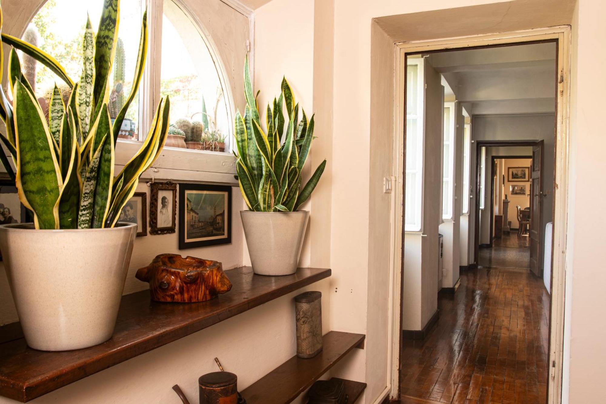 Palazzo Micheletti Lucca Apartman Kültér fotó